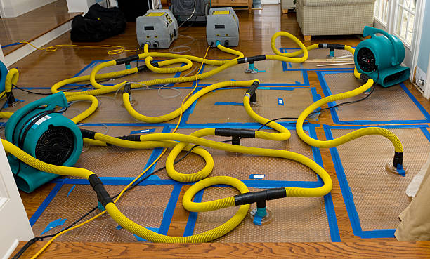 Professional Water Extraction technician working in Elkton, MI